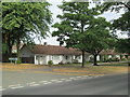 Bungalows on Ivy Road, Macclesfield