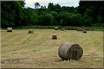 H3667 : Round and square bales, Aghadulla (Harper) by Kenneth  Allen