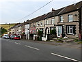 Glenview Terrace, Pentwyn