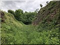 Old Waggonway, Quarrington Hill