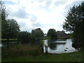 Pond and house