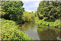 River Wandle near Poulters Park