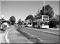 Bus stops on Dereham Road