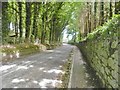 D3015 : Glenarm, Munie Road by Mike Faherty