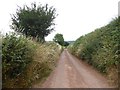 Lane north-west of Sandford