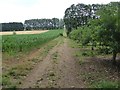 Farm track near Haselbury Plucknett