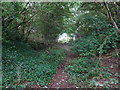 Poulton Curve Halt (site), Lancashire