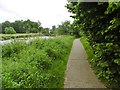 Broughshane, riverside path