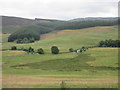 River Isla from high ground to the west