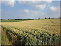 View towards Gardham