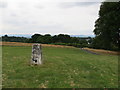 Golden Hill trig point in Duntocher