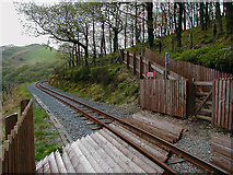SN7377 : Crossing the Railway by John Lucas