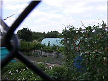 SO9390 : Allotment View by Gordon Griffiths