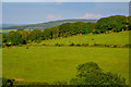 SS9141 : West Somerset : Grassy Field by Lewis Clarke