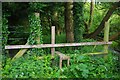 Stile on public footpath near Bampton, Oxon