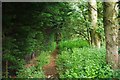 Public footpath near Bampton, Oxon