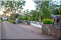 West Somerset : Country Lane