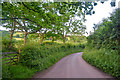 West Somerset : Country Lane