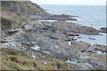SX1750 : Coastal rocks, East Coombe by N Chadwick