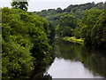 W5457 : River Bandon near Innishannon by David Dixon