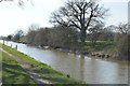 Royal Military Canal