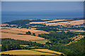 West Somerset : Countryside Scenery