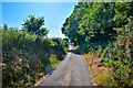 West Somerset : Rodhuish Hill Lane