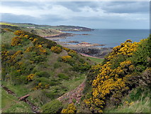 NT9265 : View across Coldingham Bay towards St Abb's by Mat Fascione