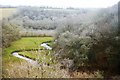 Tributary stream of the River Fowey