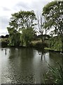 Pond at Cowhill