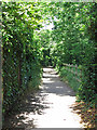 Footpath by an off-shoot of the River Ember