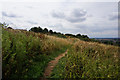 Viking Way near Bracebridge Heath