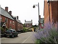 Blacks Avenue - late 20th century housing