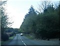 A698 near Glen Plantation