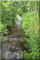 Roath Brook