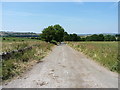 A little way west of the crossroads at Miles Knoll