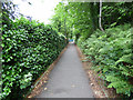 Footpath to Fairlie railway station