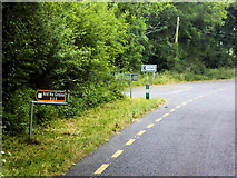 W4047 : Minor Junction on the N71 north of Ballinascarty by David Dixon