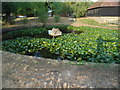 The village pond, Wisborough Green