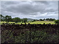 Stone wall, fields and houses at Blencarn