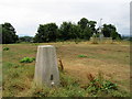 Sutton Trig Point