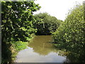 The River Mole east of Ray Road