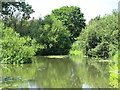 The River Mole south of Molesey Park Road (6)