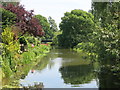 The River Mole east of Green Lane