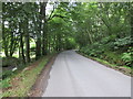 Road near Fyal Cottage