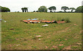 Cattle pasture, Allaleigh