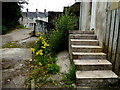 Weeds and steps, "Tintown", Omagh