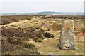 SE1751 : Trig pillar on Shooting House Hill, Askwith Moor by Alan Reid