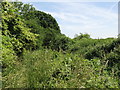 Footpath and the Dead River south Pool Road