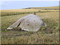 The Douping Stane